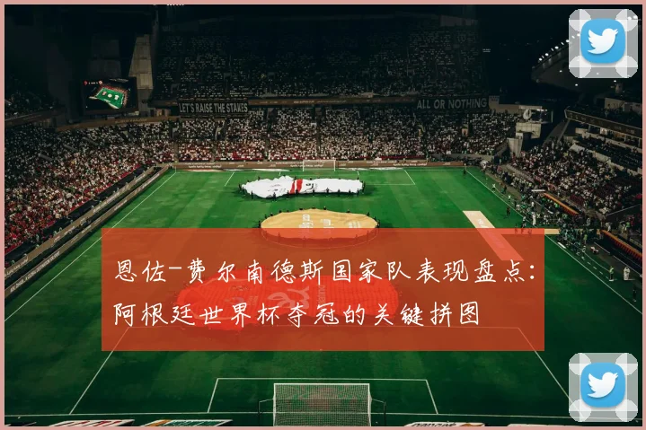 恩佐-费尔南德斯国家队表现盘点:阿根廷世界杯夺冠的关键拼图